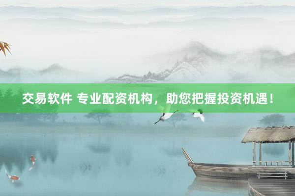 交易软件 专业配资机构，助您把握投资机遇！