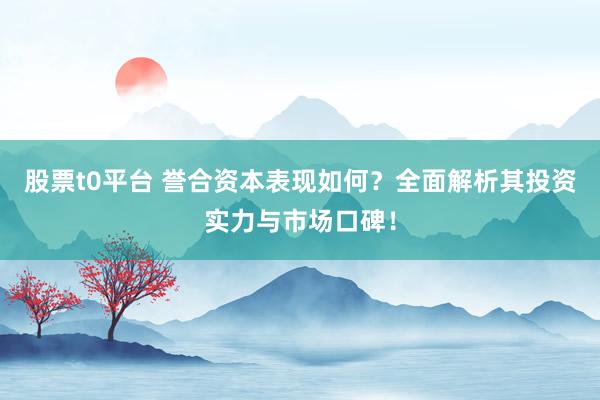 股票t0平台 誉合资本表现如何？全面解析其投资实力与市场口碑！