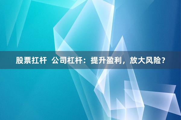股票扛杆  公司杠杆：提升盈利，放大风险？