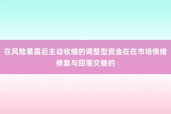 在风险暴露后主动收缩的调整型资金在在市场情绪修复与回落交替的