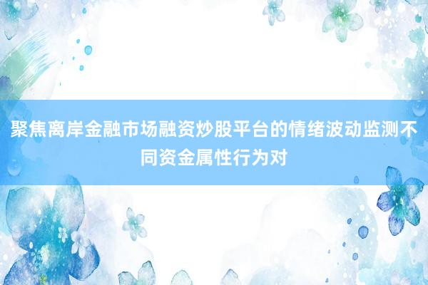 聚焦离岸金融市场融资炒股平台的情绪波动监测不同资金属性行为对