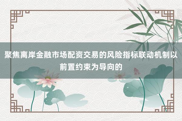 聚焦离岸金融市场配资交易的风险指标联动机制以前置约束为导向的