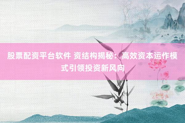 股票配资平台软件 资结构揭秘：高效资本运作模式引领投资新风向