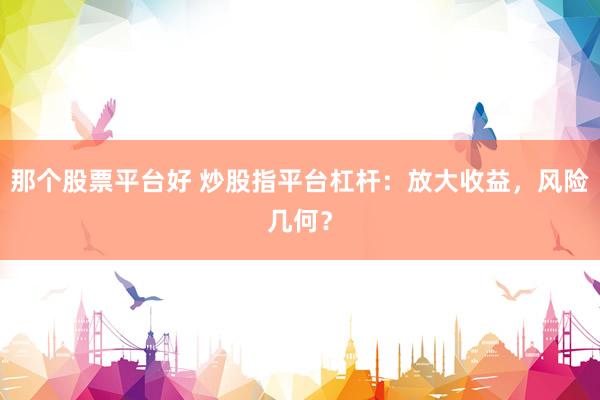 那个股票平台好 炒股指平台杠杆：放大收益，风险几何？