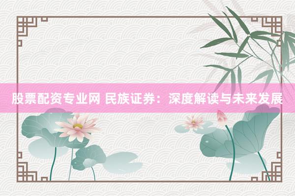 股票配资专业网 民族证券：深度解读与未来发展